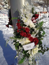 I Will Remember This and Every Year Will You?