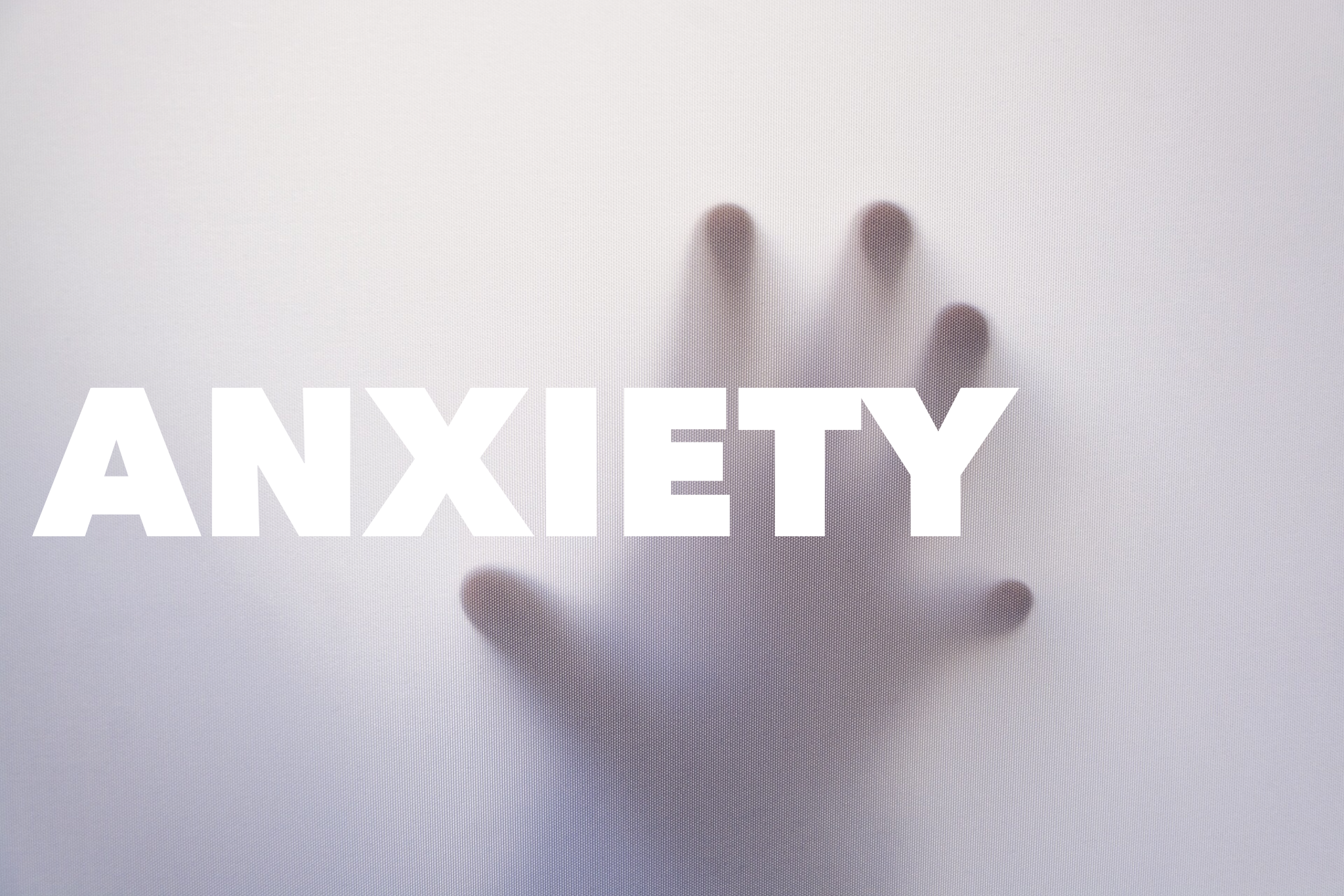 E50C37D5-24B2-4653-9B6B-40D1F4D9434E