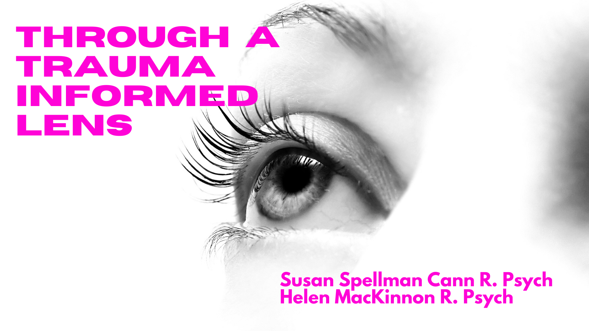 Through A Trauma Informed Lens